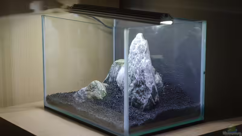 ...und in der Gesamtansicht... von Julian H. (14)