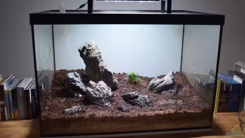 ...und mit Substrat verfugt von Junglist (8)