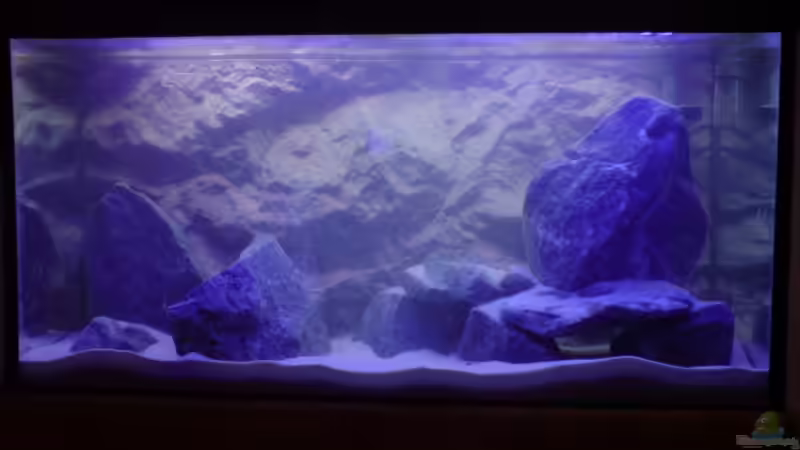 ...und nach dem einlaufen mit Beleuchtung von Dommsel (8)