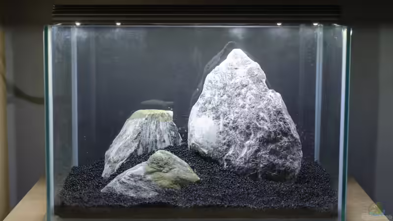 ...und Soil oben drauf... von Julian H. (12)