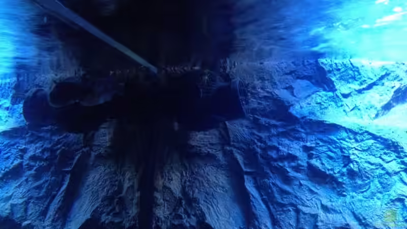 ...und von links von der Steirer (8)