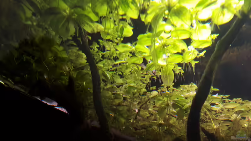 ...und von unten. von mikeschchaos (6)