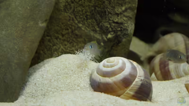 ...und weg damit von Thorsten T (12)