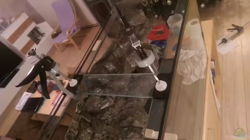 ...und wieder zurück montiert von *Malawi* (16)