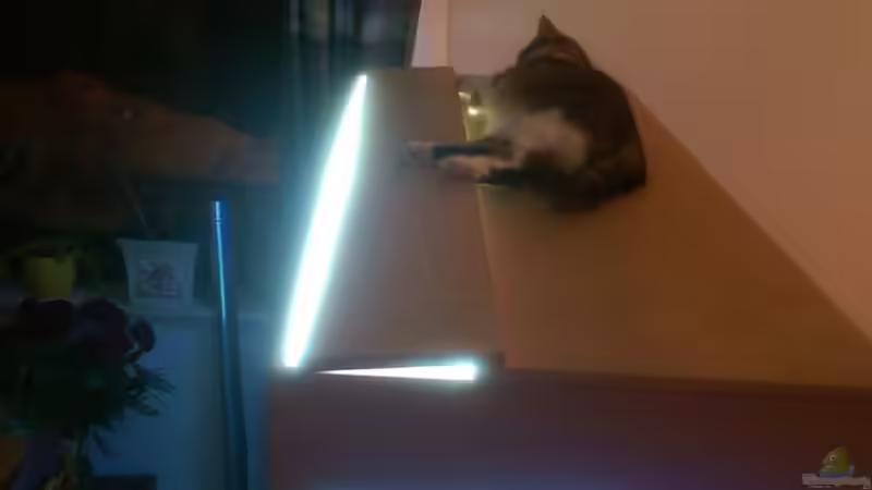 :-) von *Malawi* (11)