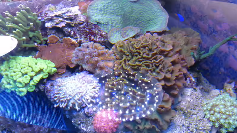 ...von oben von Leni13 (3)