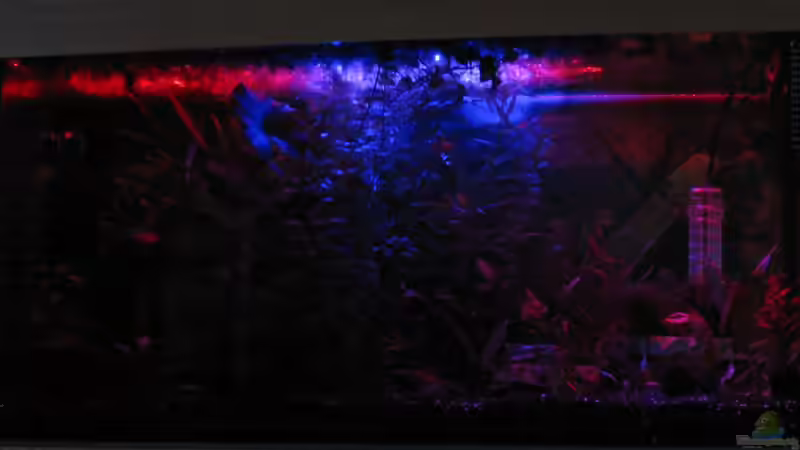 ...von Rot ins Blau..... von Tudelui (21)