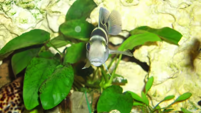 ...wann gibt es den endlich was zu futtern?! von Uwe Baumgarten (20)