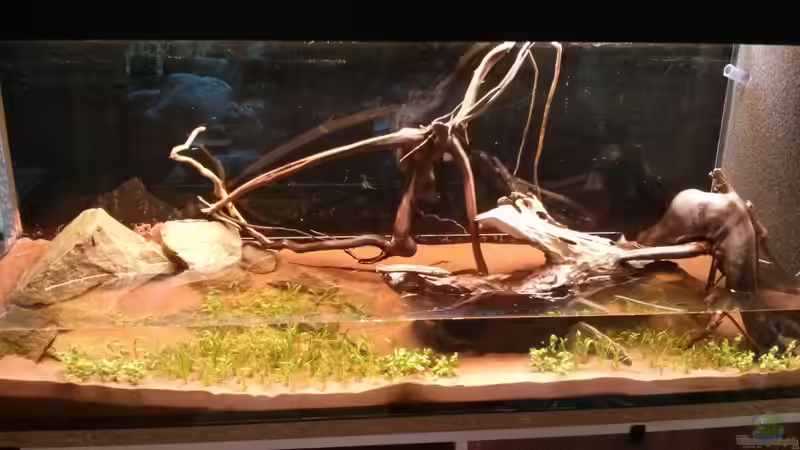 ...weiterer Aufbau. von Aalfred (3)