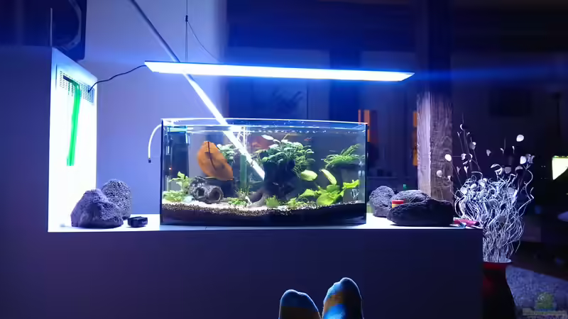 .. wir waren auf größeres von RenSa (2)