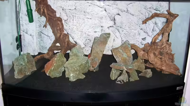 ...Wurzeln an Rückwand befestigt... von Olaf D. (12)