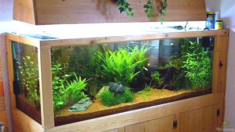   08.07.2008  von Michael Kunig (1)