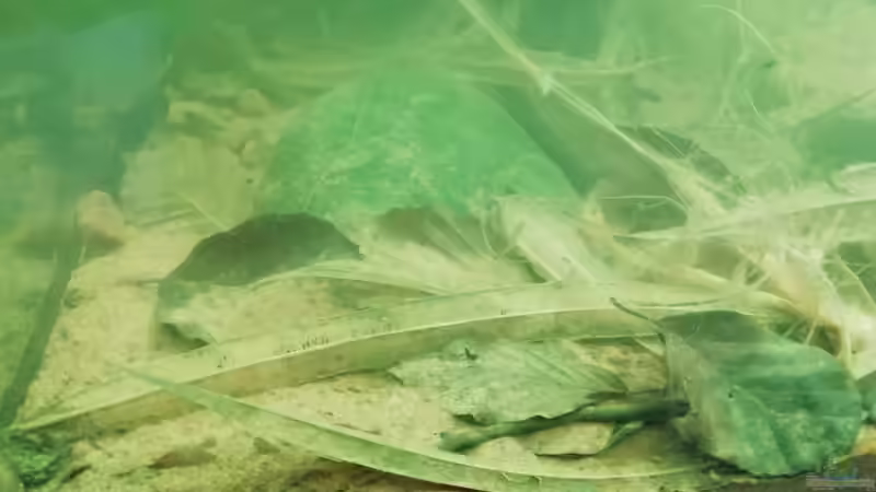 - 25.08.20 von - Stephen - (4)