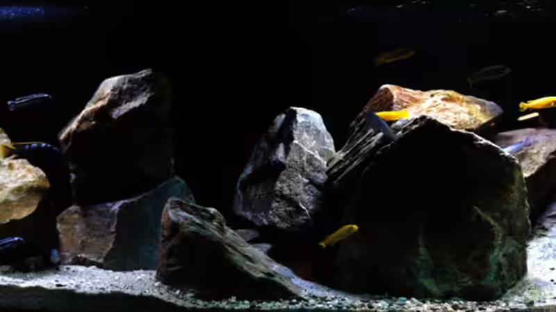 ..aktuelle Beckenaufnahme (08/14) mit entfesseltem Blitz!!