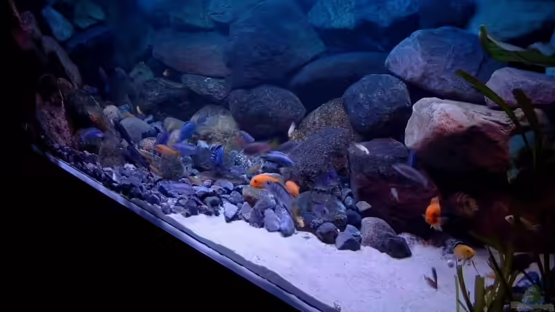   Becken 09. 2007 von Helgo Jacob (5)