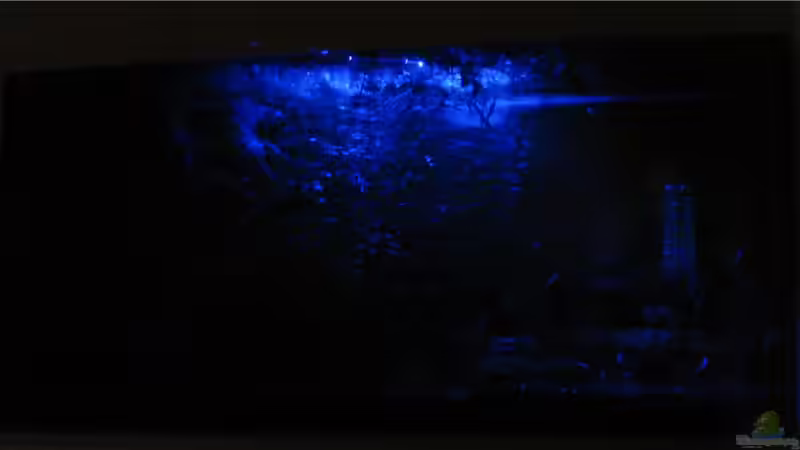 ..bis zum Blau (Mondlicht)+ Morgens dan umgekehrt. von Tudelui (22)