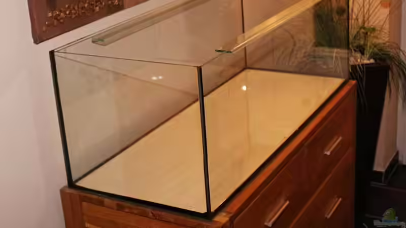 ..der Tank und sein Platz .. von AjakAndi (20)