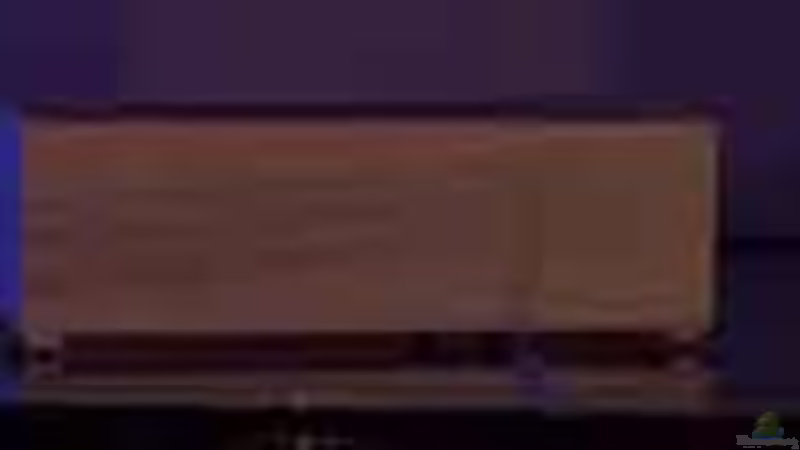 ..die drei Beleuchtungsboxen für die ´daytime´ ..  von AjakAndi (54)