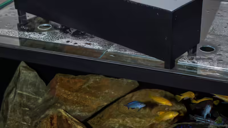 ..die große Beleuchtungsbox .. von AjakAndi (25)