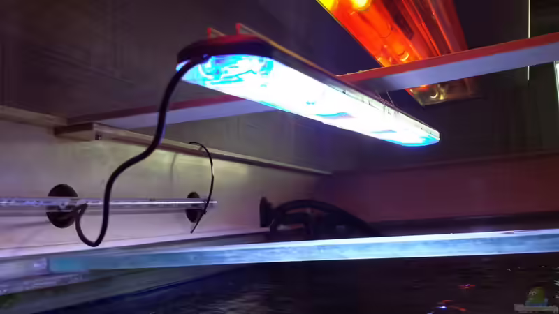 ..die gute SunaEco LED... von Thomas u. Gabriele P. (41)