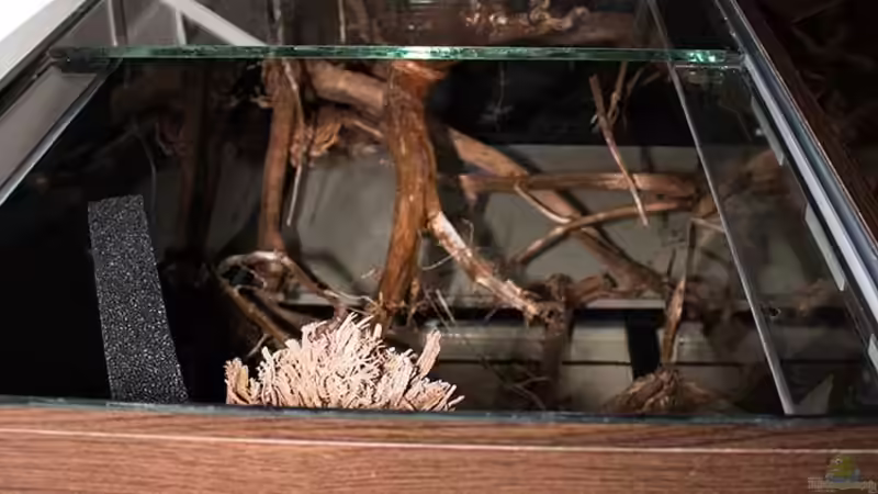 ..die linke Seite .. den HMF mit einplanen .. von AjakAndi (9)