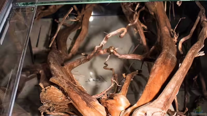 ..die rechte Seite .. Schenkel 150 cm .. von AjakAndi (8)