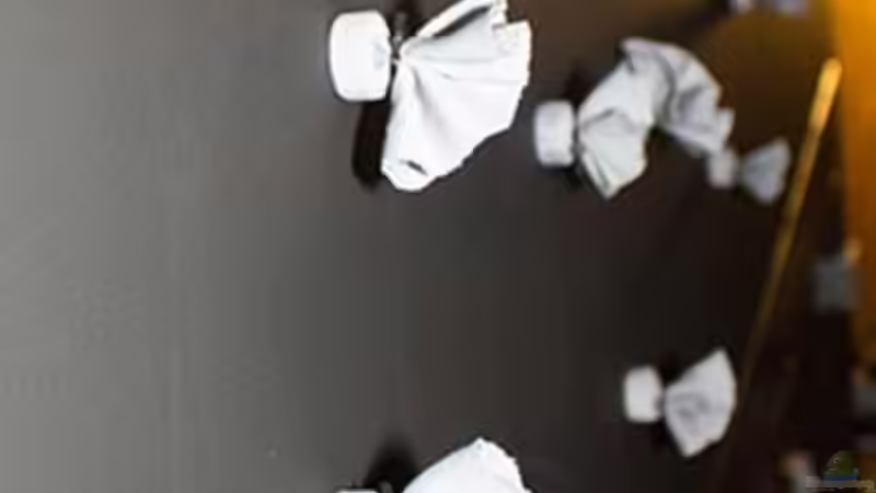 ..die Rückwandmagnete für die Module .. von AjakAndi (35)