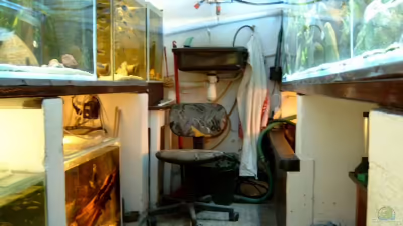   Fischraum,  von vorn nach hinten von Helgo Jacob (21)