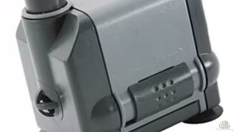 ..Sicce  600 plus .. für den Wassertransport.. von AjakAndi (31)