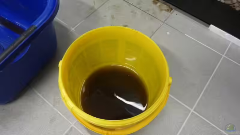 ..so ca. 20 Eimer Mulm zum einfahren von aquazonica (9)