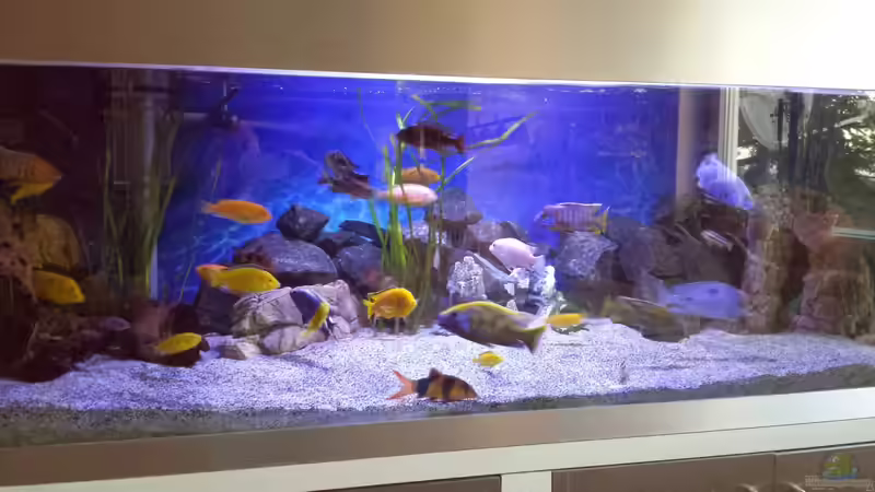 ..später..die Lavastaine wurden durch Basalt Bruchsteine ersetzt von Thomas u. Gabriele P. (24)