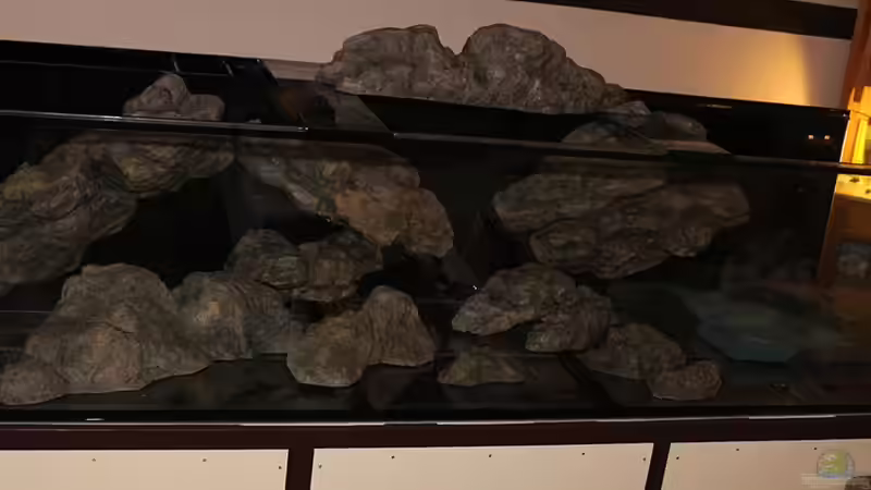 ..Stellprobe der Module/ des Gehölz im leeren Tank gem. unserem Plan!! von AjakAndi (30)