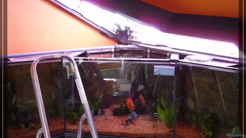 ~~~  Technik ?????   ****  essss macht mich noch wahnsinnig   ~~~ von Holger Rauhe (8)