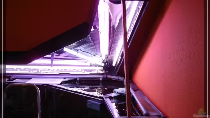 ~~~  Technik ?????   ****  essss macht mich noch wahnsinnig   ~~~ von Holger Rauhe (9)