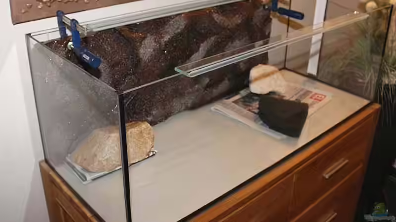 ..verkleben/ fixieren der Rückwand im Becken.. von AjakAndi (22)