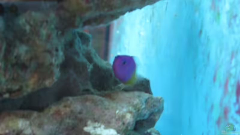 . von Christian Schneider (32)