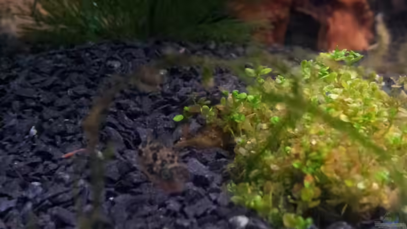 :)) von Gokel79 (15)