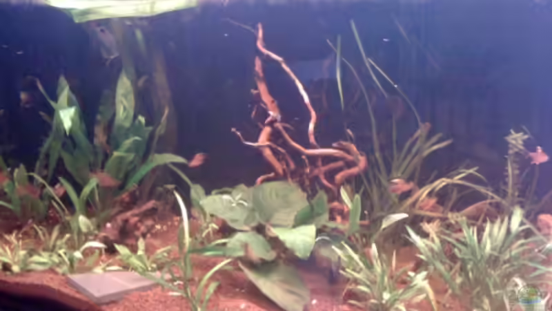 . von Jürgen Müller (7)