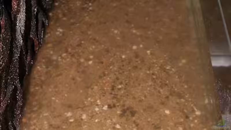 ..Wasser marsch ...  von AjakAndi (25)