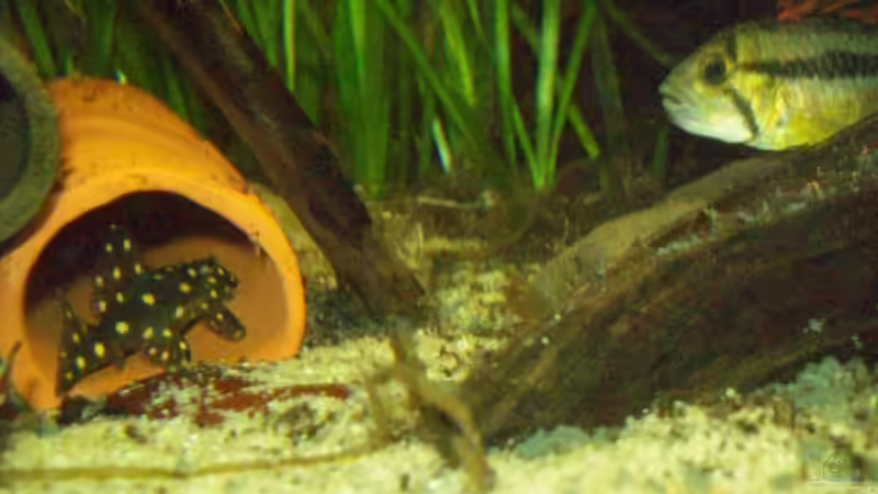 [04.11.09] von Tom Rudolph (16)