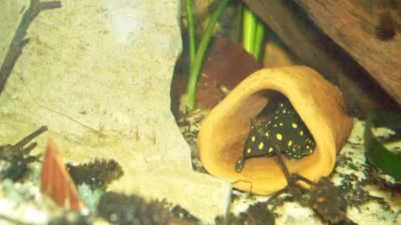 [04.11.09] von Tom Rudolph (17)