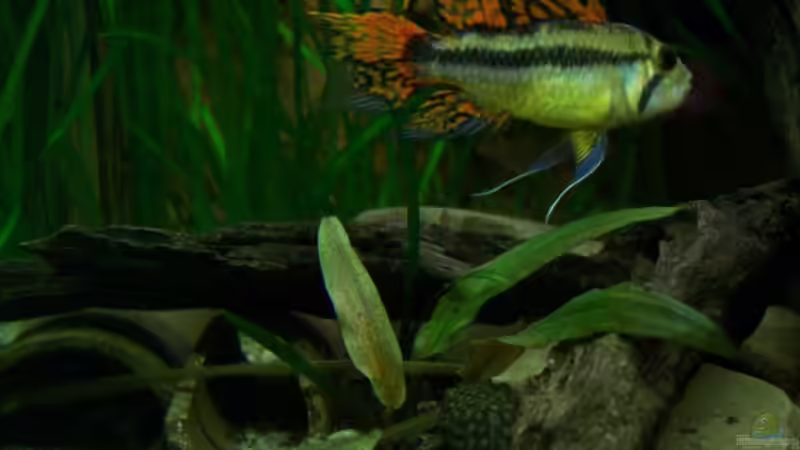 [04.11.09] von Tom Rudolph (19)