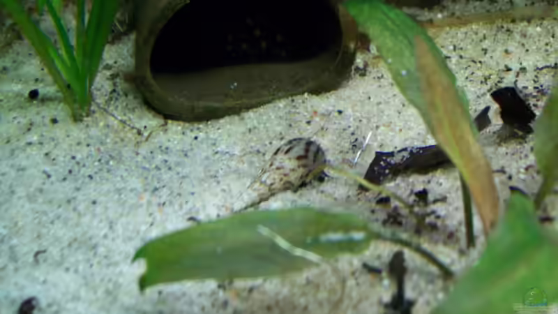 [08.02.10] von Tom Rudolph (12)