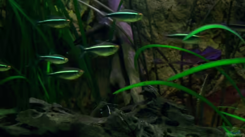 [08.02.10] von Tom Rudolph (3)