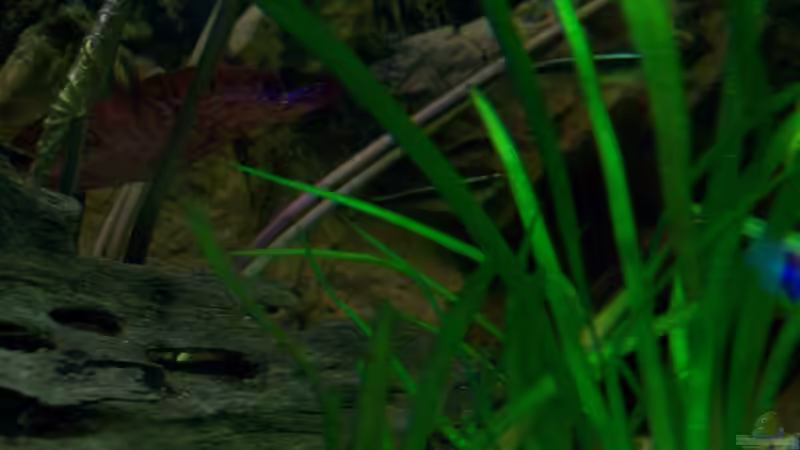 [08.02.10] von Tom Rudolph (8)