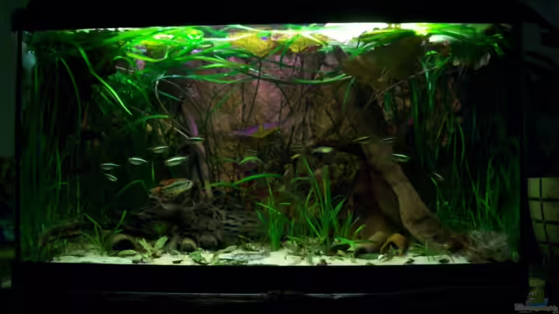 [08.02.10]Frontansicht von Tom Rudolph (2)