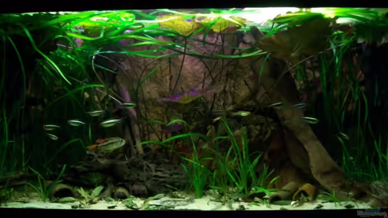 [08.02.10]Frontansicht