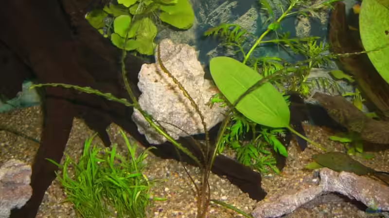 ?? 10 von Stephan Fehringer (20)