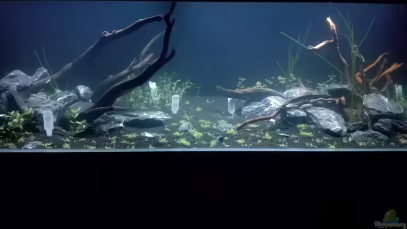  14.10.18 von Niederbayer_Andee (3)