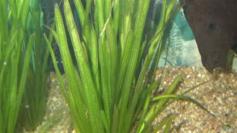 ?? 2 von Stephan Fehringer (9)